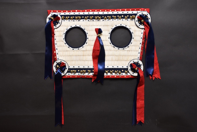 a Lakota horse mask